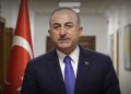 NATO PA Türk Delegasyonu Yeni Başkanı Mevlüt Çavuşoğlu