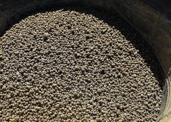 Aksu’daki meralarda güzelleştirme çalışması