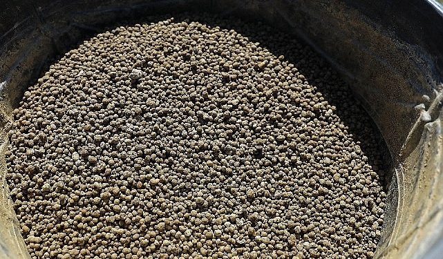 Aksu’daki meralarda güzelleştirme çalışması