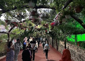 Ankara’nın en serin adresi Atatürk Botanik Bahçesi