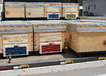 Antalya Büyükşehir’in arı kovanı dayanakları sürüyor