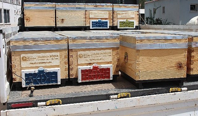 Antalya Büyükşehir’in arı kovanı dayanakları sürüyor