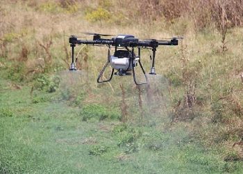 Asya Kaplan Sivrisineğine karşı en tesirli yol