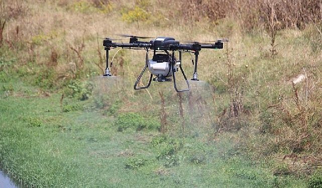 Asya Kaplan Sivrisineğine karşı en tesirli yol