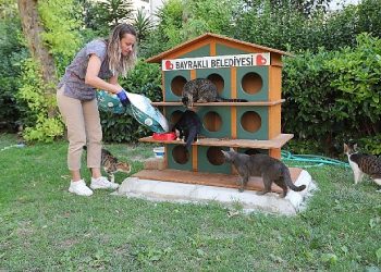 Bayraklı’da can dostlara mama ve su takviyesi