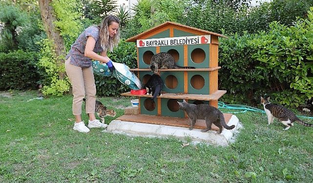 Bayraklı’da can dostlara mama ve su takviyesi