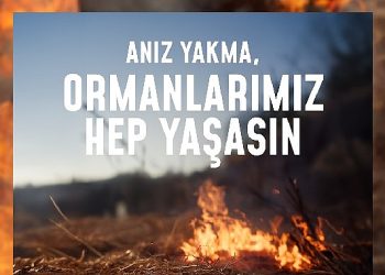 Bir kıvılcım geleceğimizi yakmasın, ormanlarımız daima yaşasın!