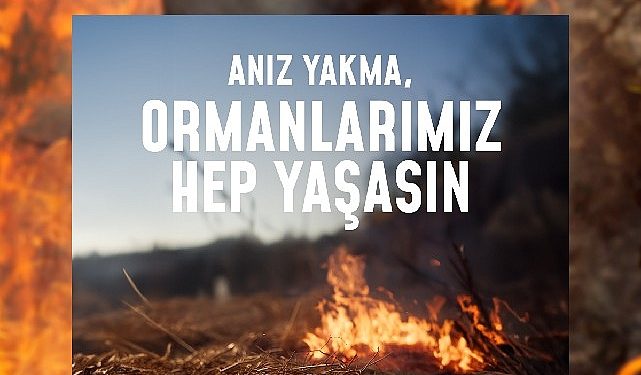Bir kıvılcım geleceğimizi yakmasın, ormanlarımız daima yaşasın!