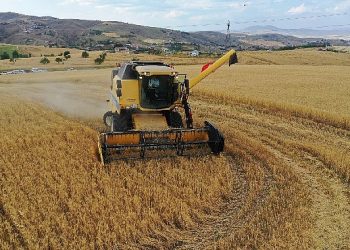 Birinci hasadı Lider Altınok yaptı