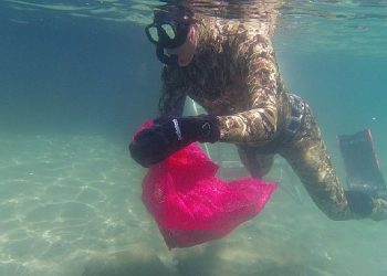 Bodrum Belediyesi’nden deniz tabanı temizliği 