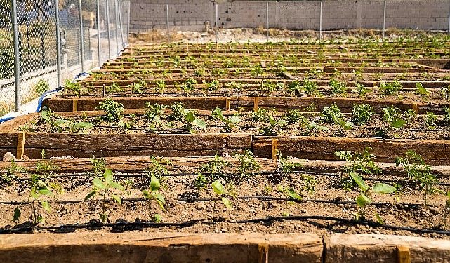 Buca’nın Mustafa Kemal Mahallesi’nde Mahalle Bostanı açıldı