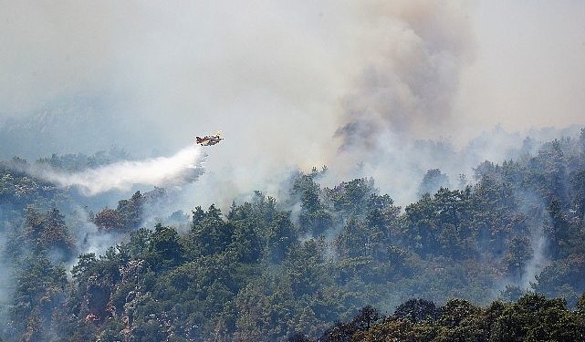 Büyükşehir Belediyesi yangın bölgesinde taşınabilir aşevi kurdu