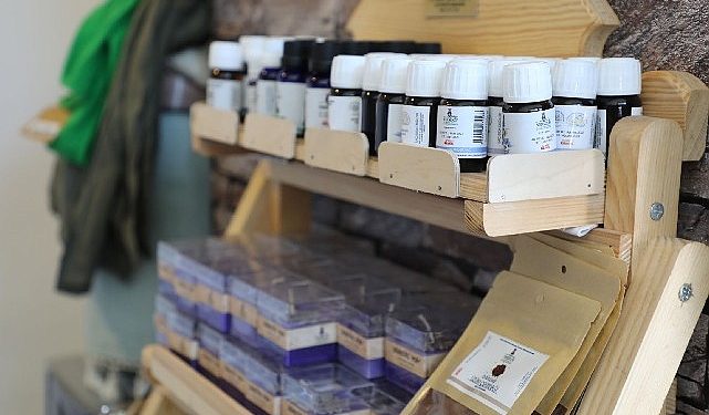 Büyükşehir Takviyeleri ile 212 Dekar Arazi Lavanta ile Buluştu..