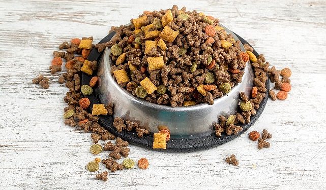 Can dostların mamaları Türkiye’de üretiliyor Türkiye, kedi-köpek maması ihracatında 100 milyon dolar amaç koydu