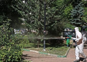 Çankaya parklarına yaz bakımı