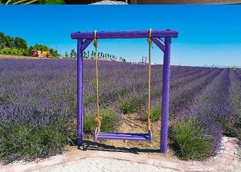 Çumra Misak-ı Ulusal Parkı Doğal Hoşluğuyla Ziyaretçilerini Büyülüyor