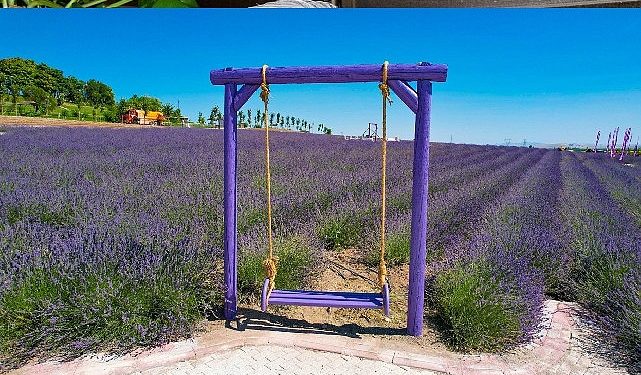 Çumra Misak-ı Ulusal Parkı Doğal Hoşluğuyla Ziyaretçilerini Büyülüyor