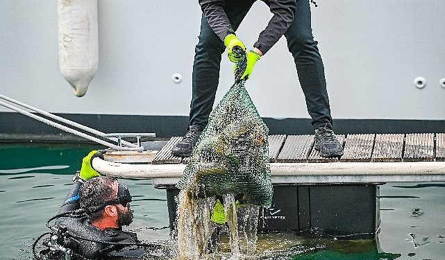 D-Marin tüm marinalarında Etraf Farkındalık Günlerini kutladı