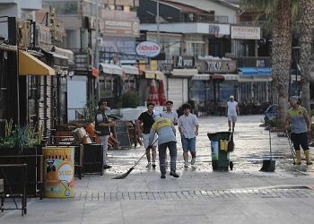 Didim’de paklık gruplarından sabah mesaisi 