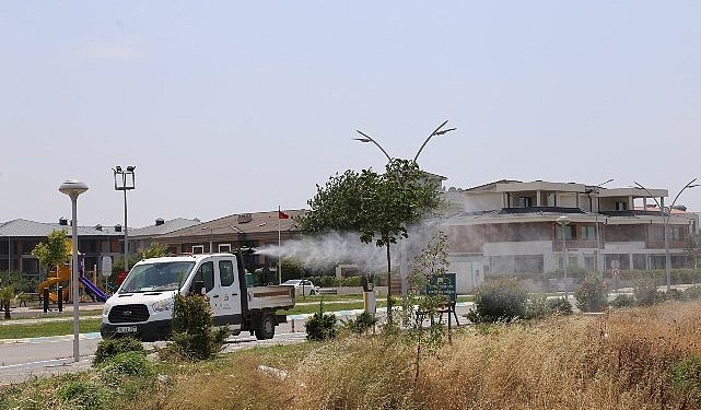 Edremit’te sinekle 7/24 uğraş