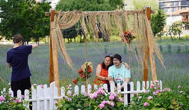 Genç yaşlı herkez lavanta ve gül bahçesi cekim platosunda