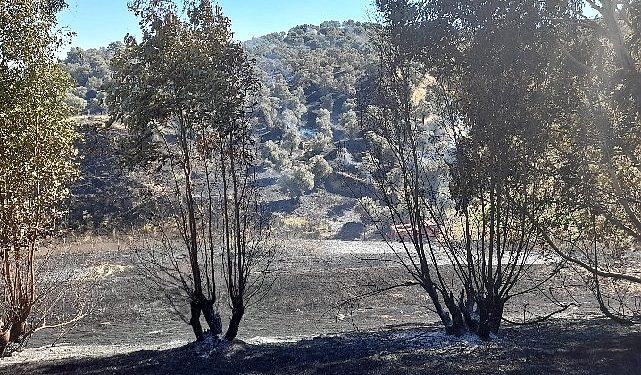 Germencik’te otoban kenarında çıkan yangın denetim altına alındı