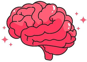 Güzel korunmuş sağlıklı bir beyefendisine gereksinimimiz var