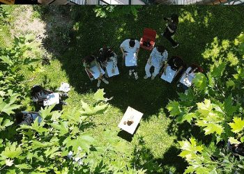 Hoş Sanatlar merkezi birinci meyvelerini vermeye başladı 