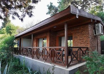 İBB, Orman Bakanlığı’ndan satın aldı