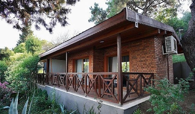 İBB, Orman Bakanlığı’ndan satın aldı