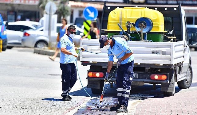 İklim krizi sivrisinek popülasyonunu artırdı