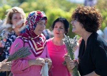 İmece metodu lavanta hasadında dayanışma örneği
