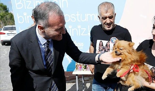 İnegöl Belediyesi 6 Ayda 2.700 Hayvana Şifa Oldu