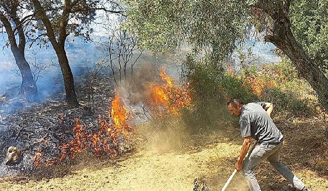 İzmir Kınık’taki yangında Devlet millet el ele verdi