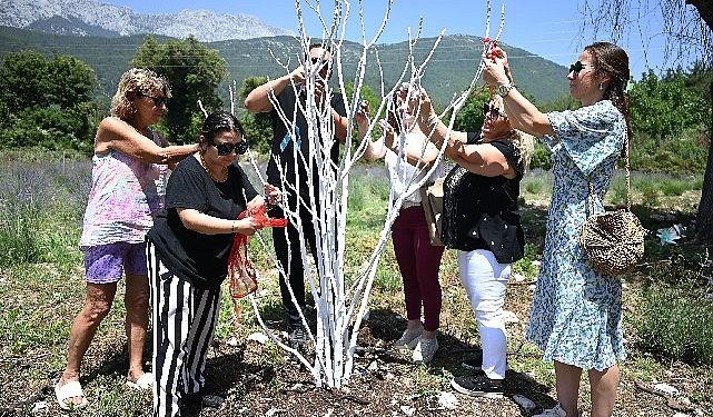 Kemer’de “Mor turizm” başlıyor