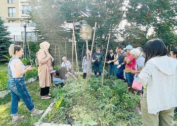  Kent ortasında Ekolojik tarım 