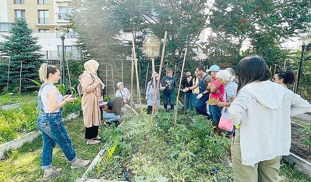 Kent ortasında Ekolojik tarım