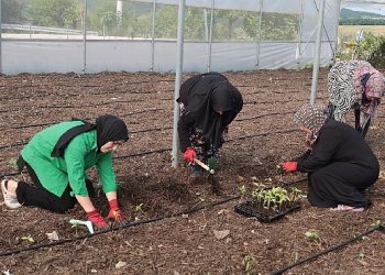 Kocaeli Büyükşehir’den bayan girişimcilere ziraî takviye