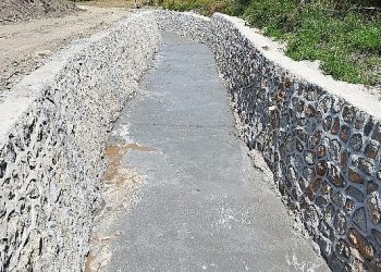 Kocaeli genelinde ıslah çalışmaları