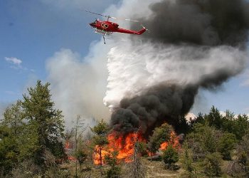 Kocaeli İtfaiyesi orman yangınlarına karşı uyardı