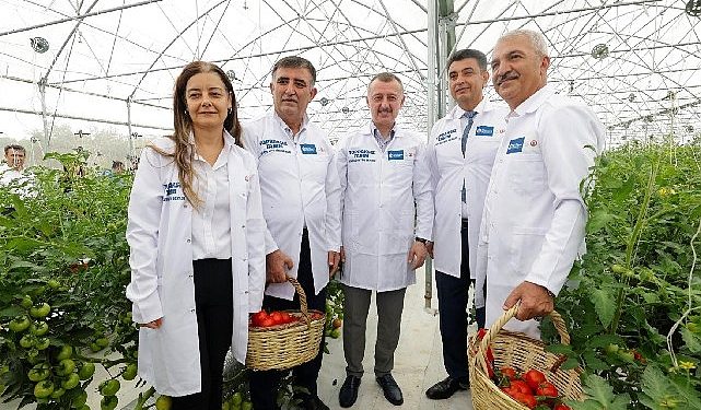 Kocaeli’de topraksız tarımla zerzevat ve meyve yetiştiriliyor