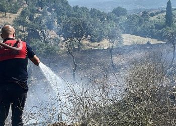 Koçarlı’daki yangın denetim altına alındı
