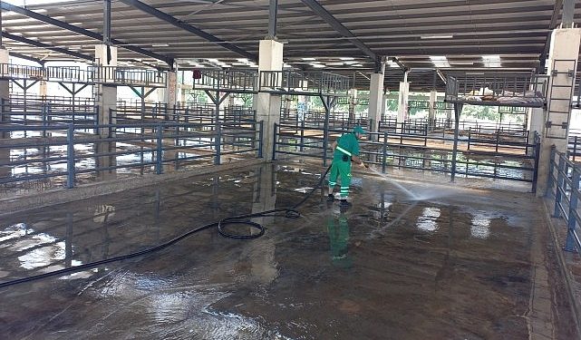 Kurban satış yerleri kaldırıldı