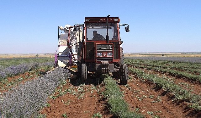 Lider Altay: “Şehrimizin Kalkınmasına Katkı Sağlayan Çiftçimizin Yanında Olmaya Devam Edeceğiz”