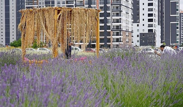 Lider Altınok fotoğrafçıları Lavanta ve Gül bahçesine davet etti