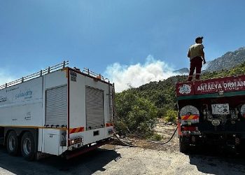 Lider Böcek Yeniden ciğerimiz yanıyor