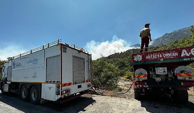 Lider Böcek Yeniden ciğerimiz yanıyor