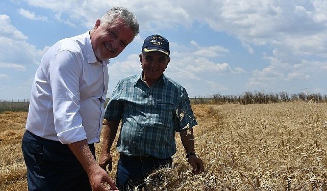 Lüleburgaz Belediyesi buğday hasadı yaptı