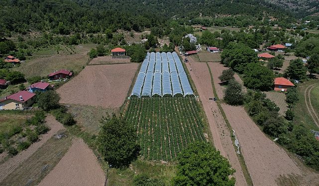 Muğla Büyükşehir Belediyesi dayanaklarıyla Migros’ta çilek satışına başlayan üreticiler Köyceğiz’in yaylalarında yetişen eserleri vatandaşla buluşturmanın memnunluğunu yaşıyor.