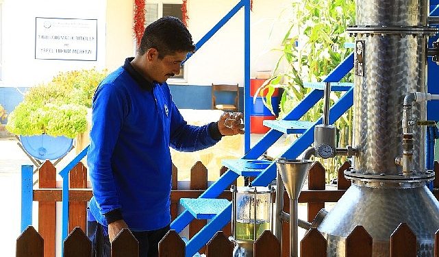 Muğla Büyükşehir Distilasyon Tesisi Muğla’nın Aromatik Bitkileri’ni İşliyor